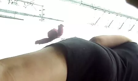 Seorang gadis muda dengan payudara gambar awek tudung bogel segar.